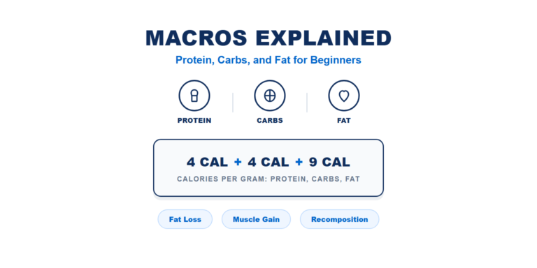 Infographic titled "Macros Explained: Protein, Carbs, and Fat for Beginners" showing three icons for Protein, Carbs, and Fat, a card reading "4 CAL + 4 CAL + 9 CAL, Calories per Gram: Protein, Carbs, Fat," and three labeled pills for Fat Loss, Muscle Gain, and Recomposition.